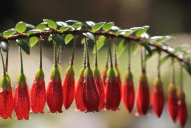 惠州大亚湾私人快速借钱网，轻松解决资金难题