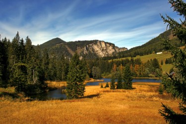 惠州大亚湾民间私贷攻略：揭秘低成本借贷的秘密