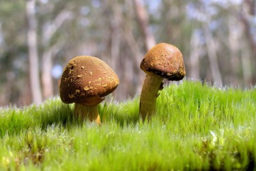 惠州大亚湾私人老板放款：轻松融资的秘密通道